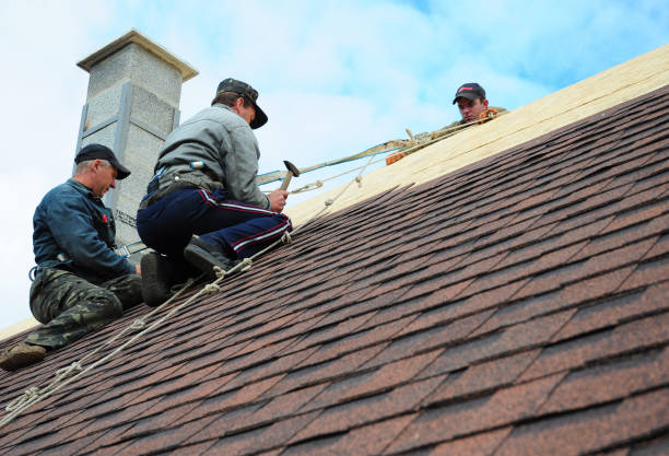Best Metal Roofing Contractor  in Salem, MA
